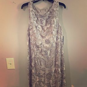 NWT Alex Evenings long detailed dress in Platinum
